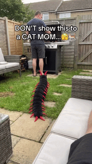 Halloween Crawling Cat Costume