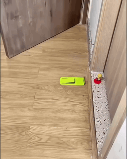 Flexible Spring Door Guard