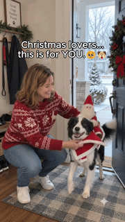Santa Paws Reindeer Outfit