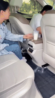 Car Armrest Storage Organizer with Cup Holder