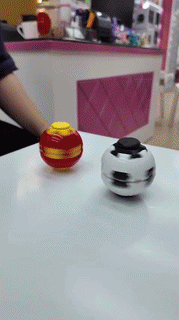 Press & Spin Fidget Toy