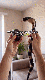 USB Rechargeable RC Snake Toy
