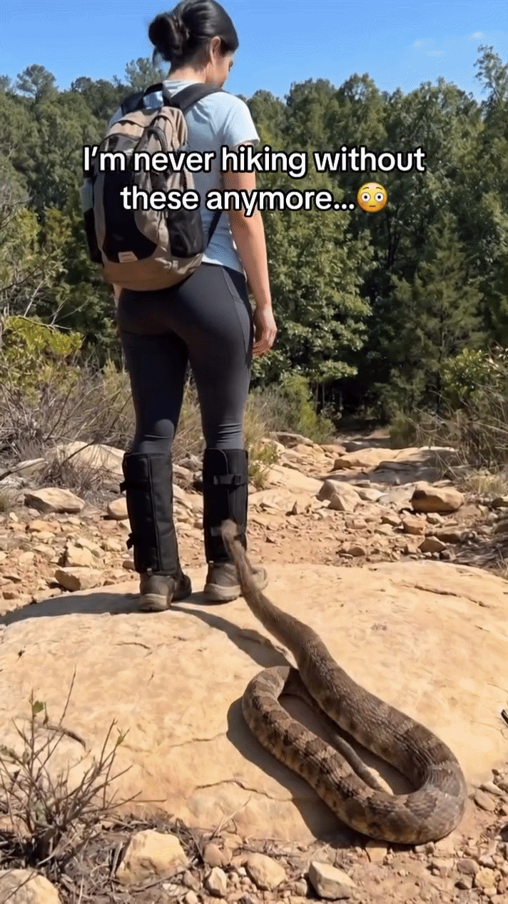 Adjustable Snake Bite Protection Leg Guards