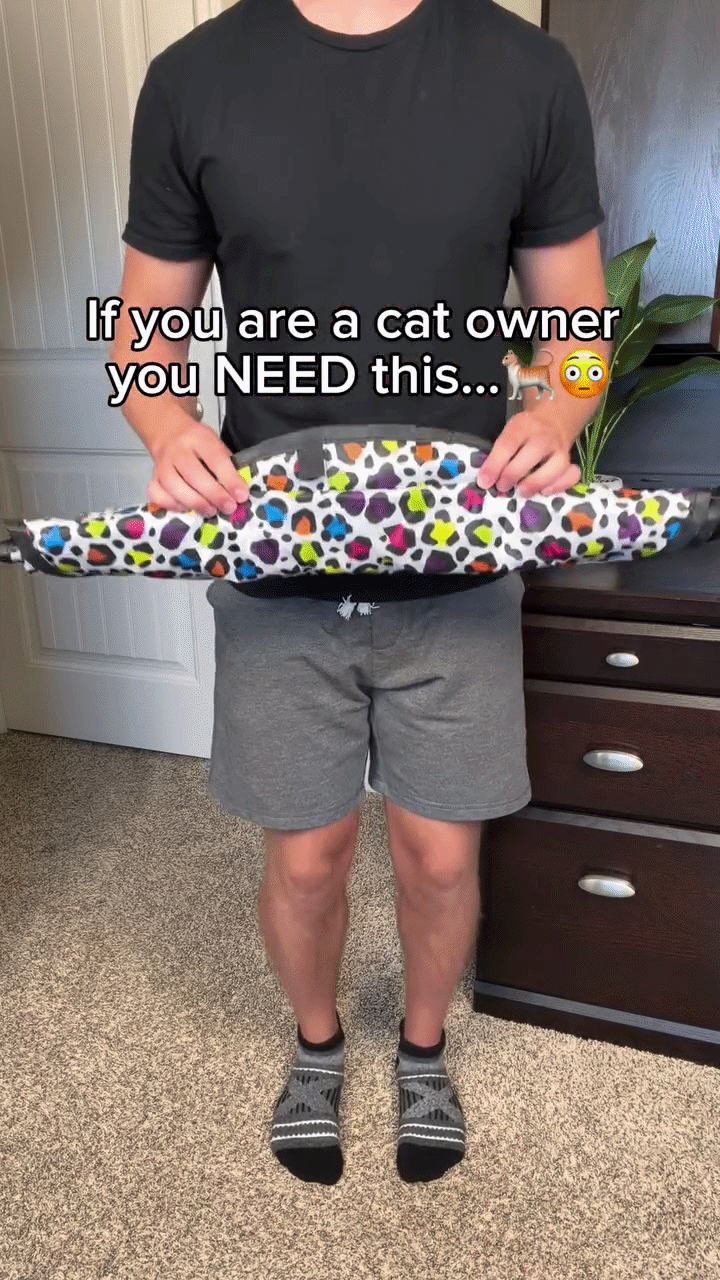 Interactive Cat Play Mat