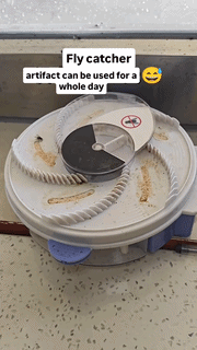USB Automatic Rotating Fly Trap